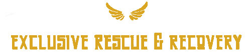 Exclusive Recovery