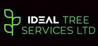 Ideal Tree Services