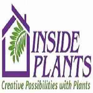 Inside Plants