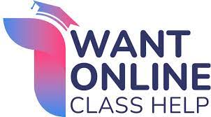 I Want Online Class Help