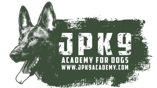 JPK9 Academy