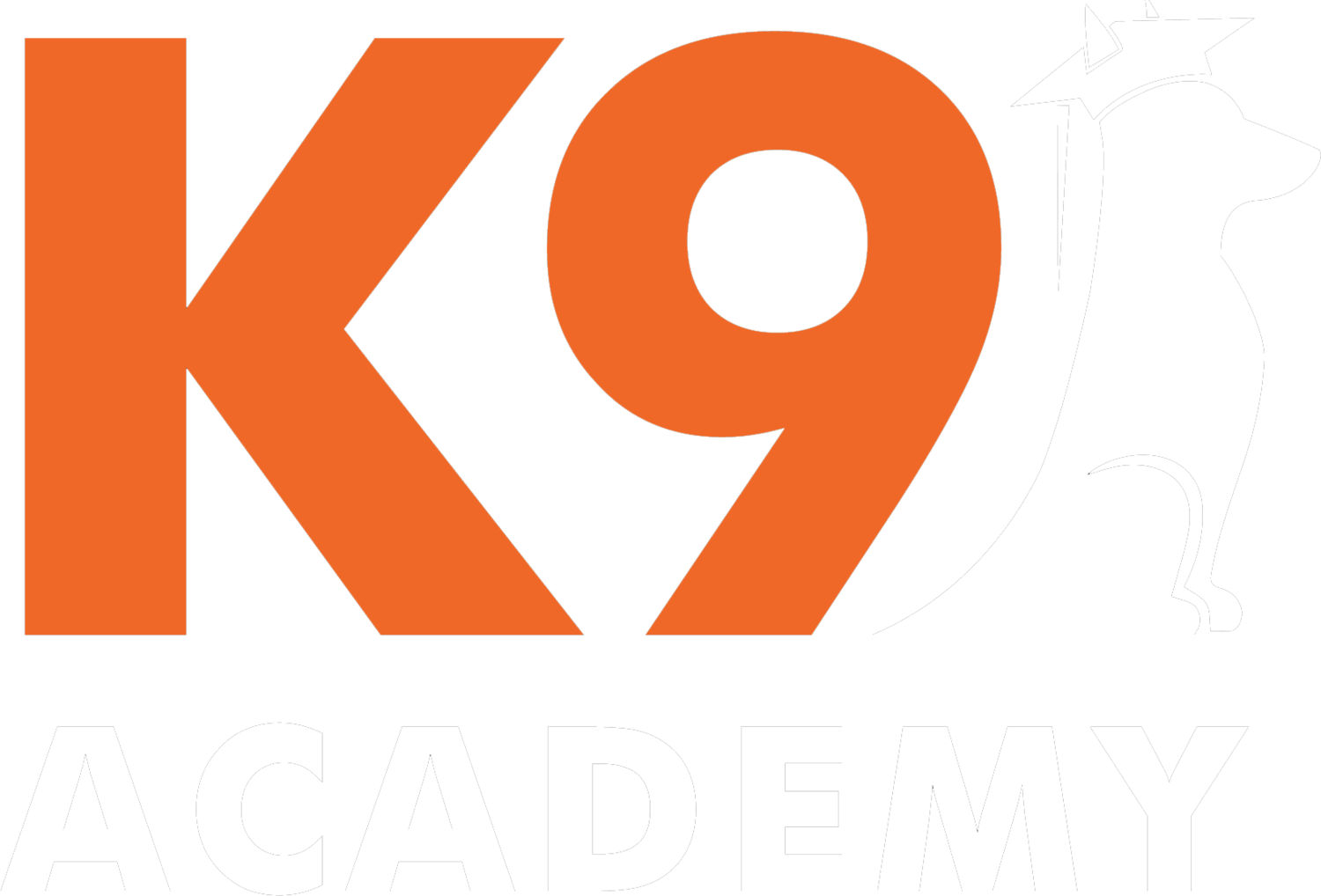 K9 Academy