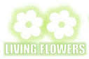 LivingFlowers