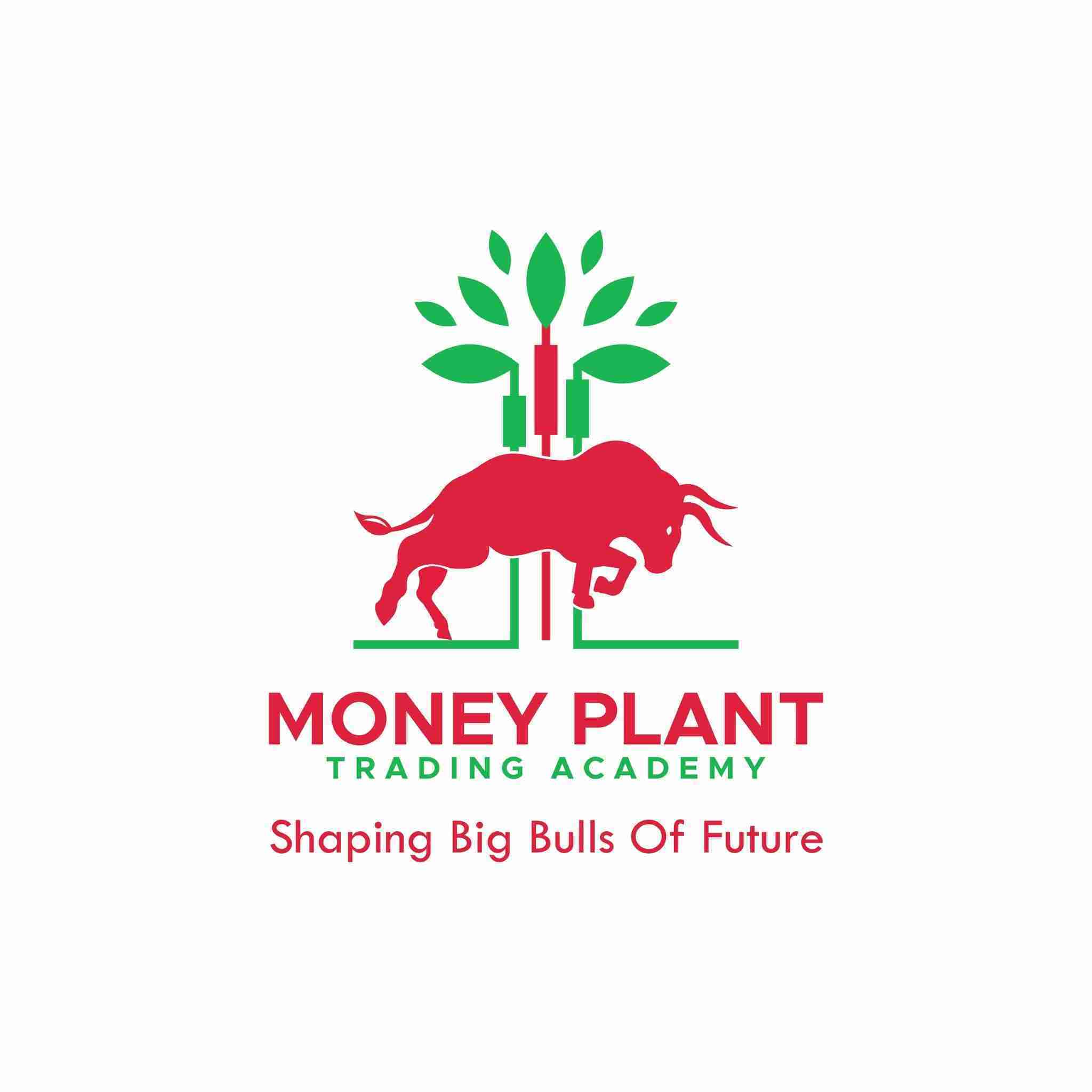 Money Plant Trading Academy