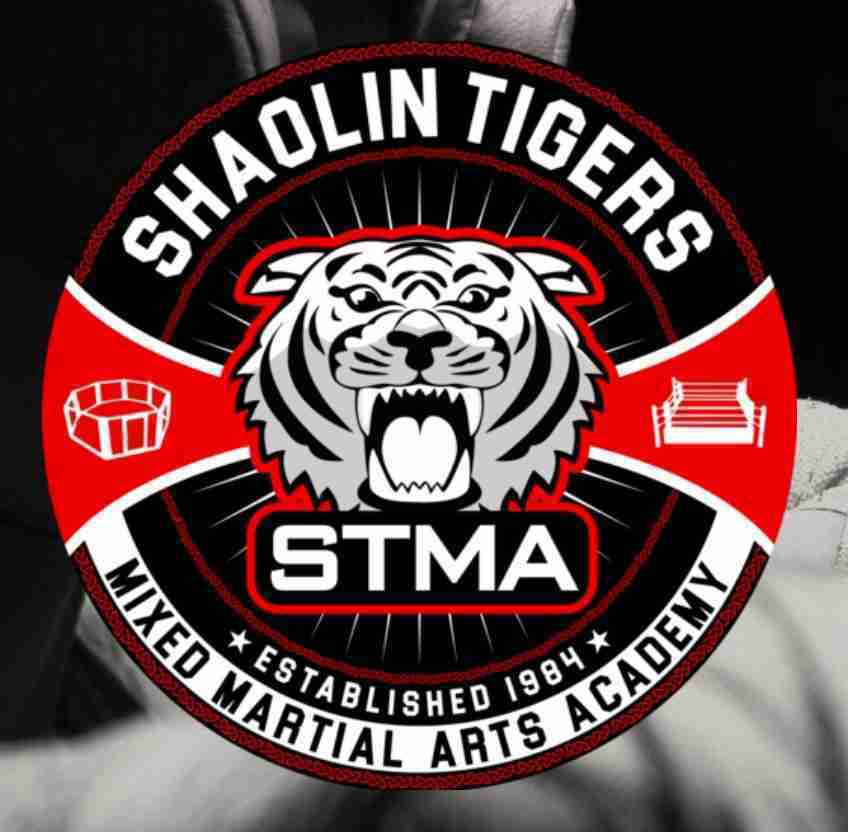 Shaolin Tigers Martial Arts (STMA) Academy