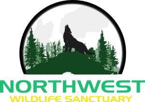 North West Wild Life Sanctuary