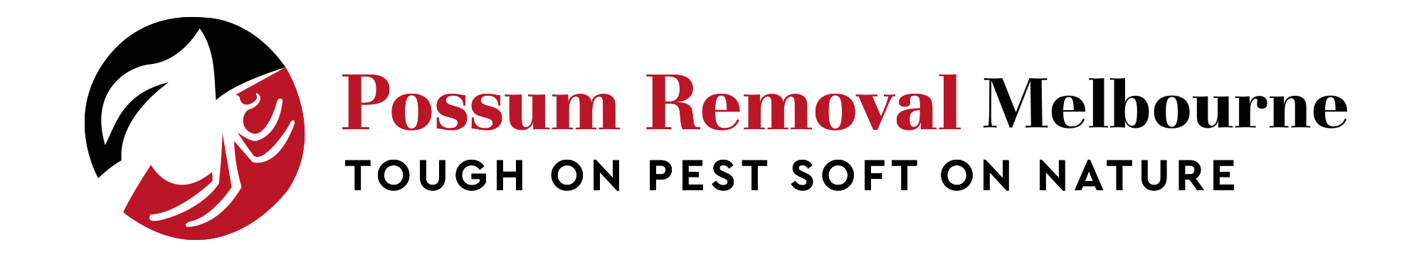Possum Removal Melbourne