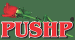 Pushp Henna