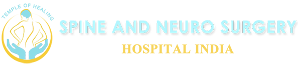Spine and Neuro Surgery Hospital