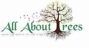 All About Trees LLC