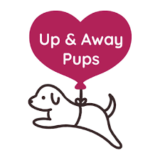 Up & Away Pups