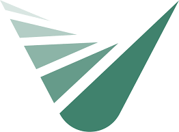 Veridian Solutions