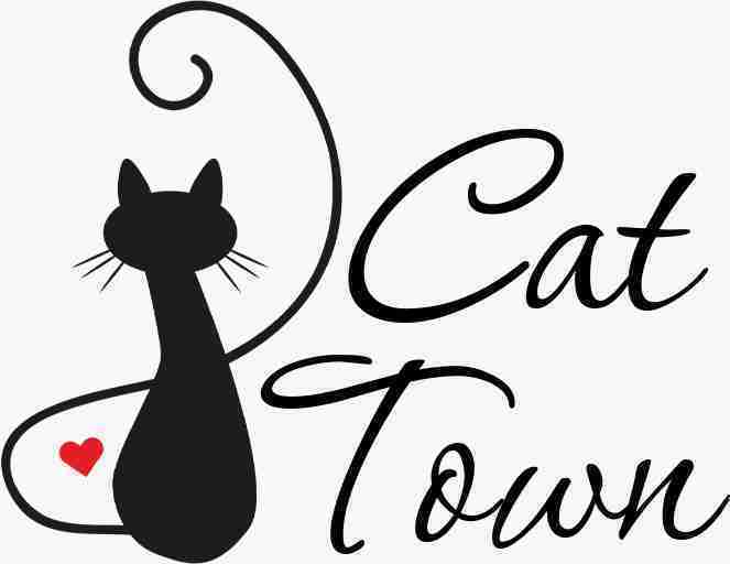 Cat Town Зоогостиница  для кошек