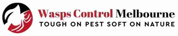 Wasp Control Melbourne