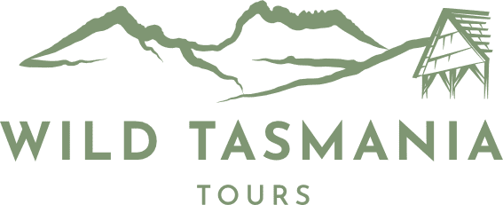 Wild Tasmania Tours