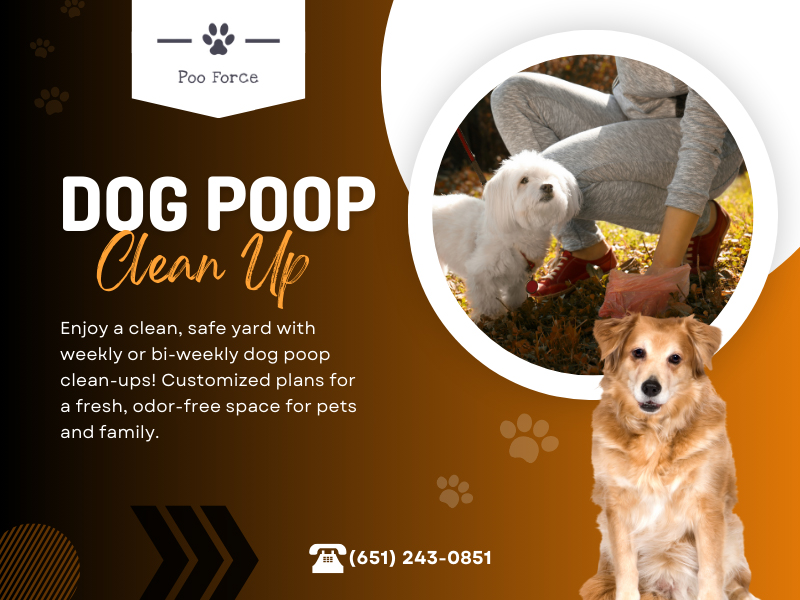 Dog Poop Clean Up