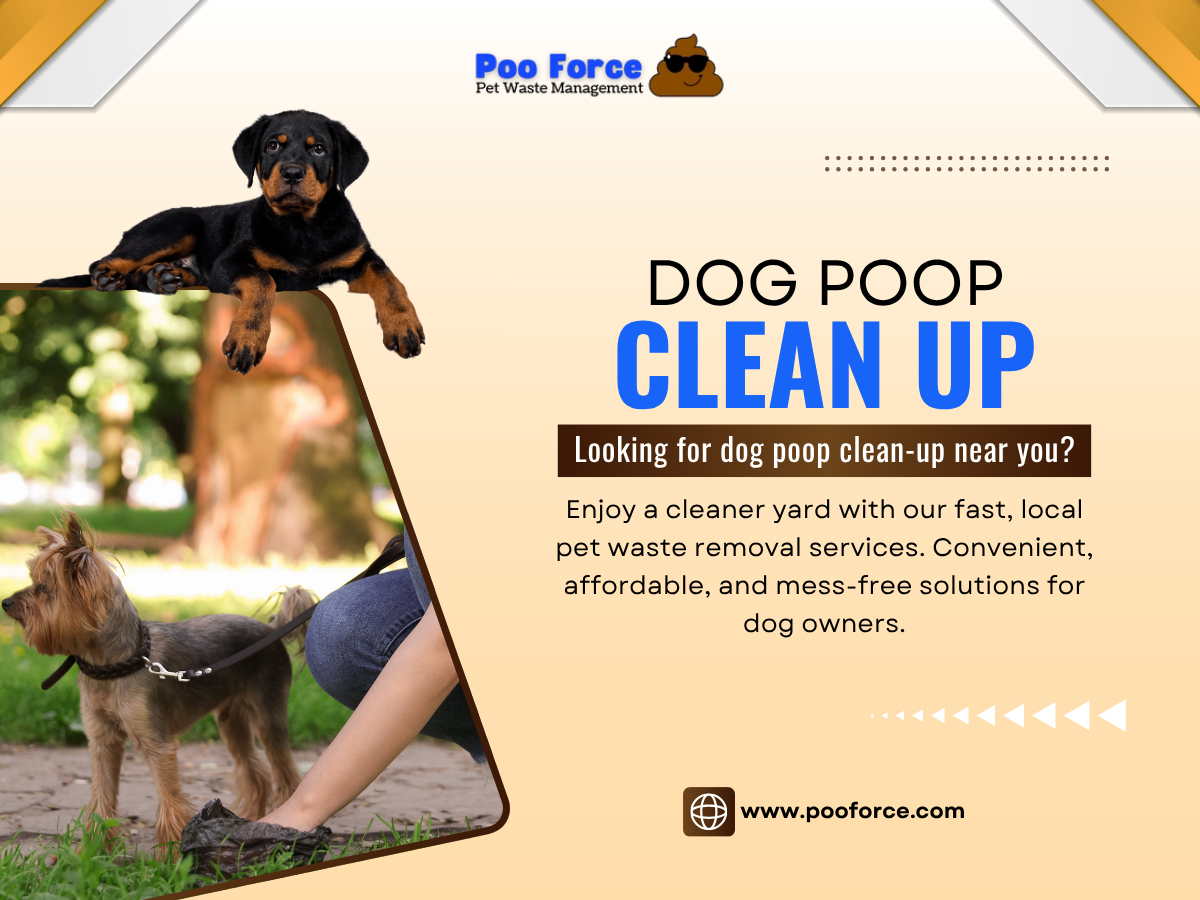 Dog Poop Clean Up Near Me