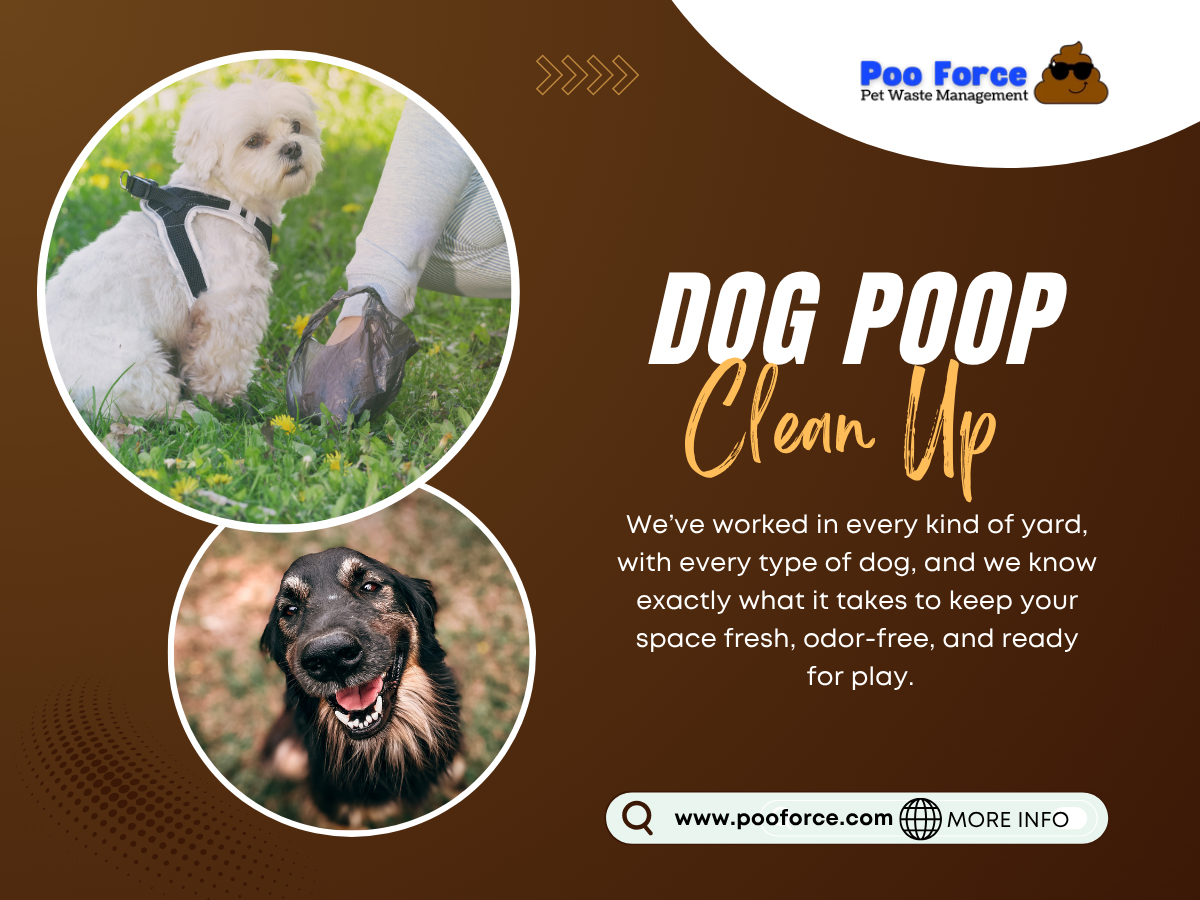 Dog Poop Clean Up