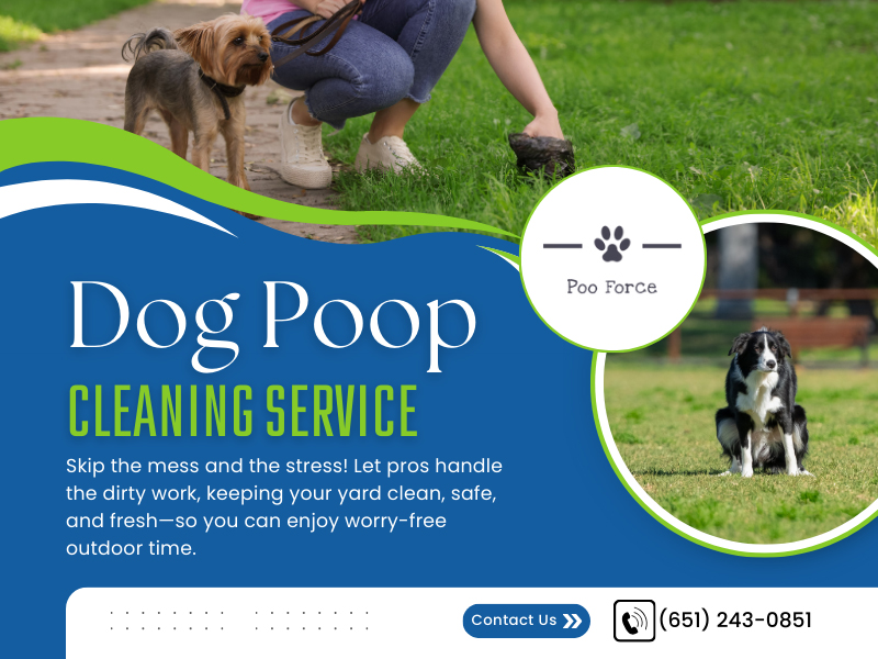Dog Poop Cleaning Service