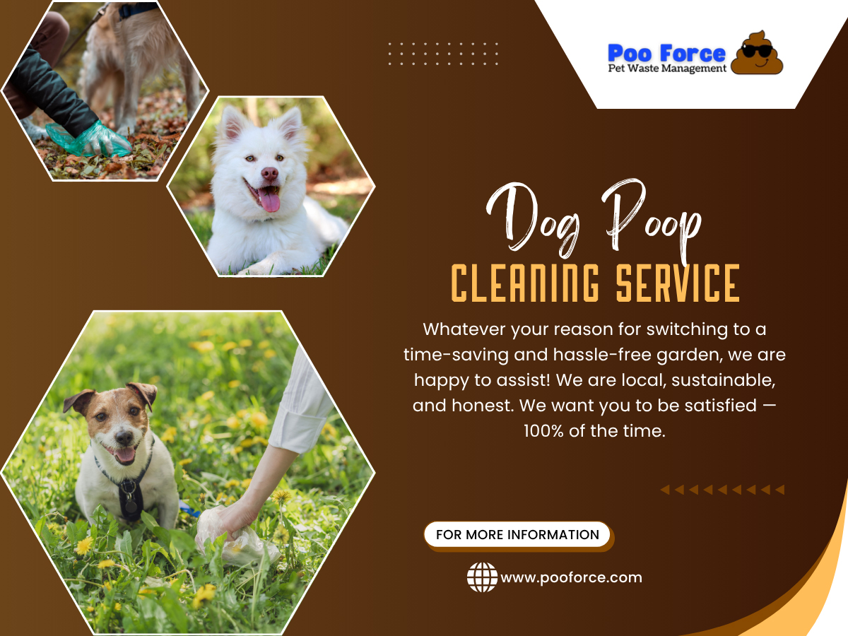Dog Poop Cleaning Service