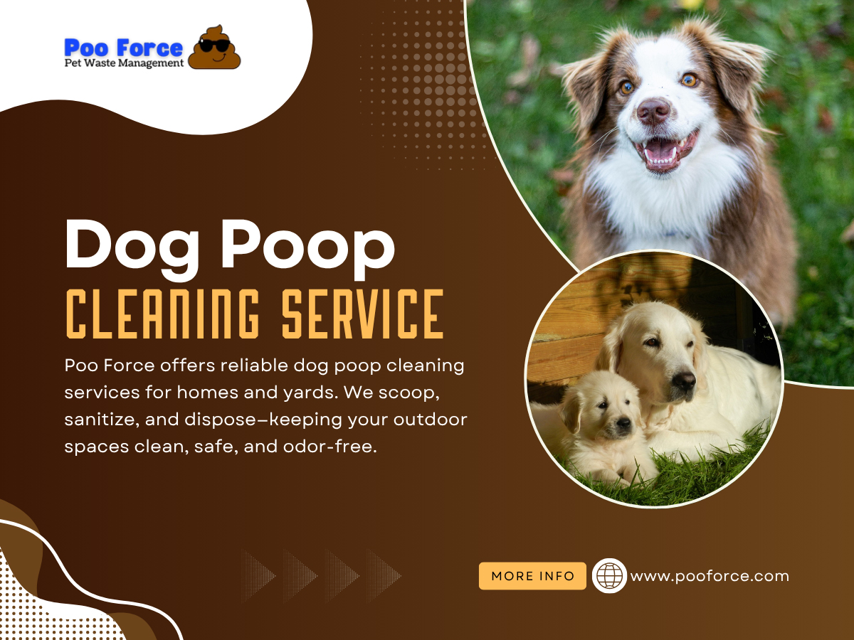 Dog Poop Cleaning Services