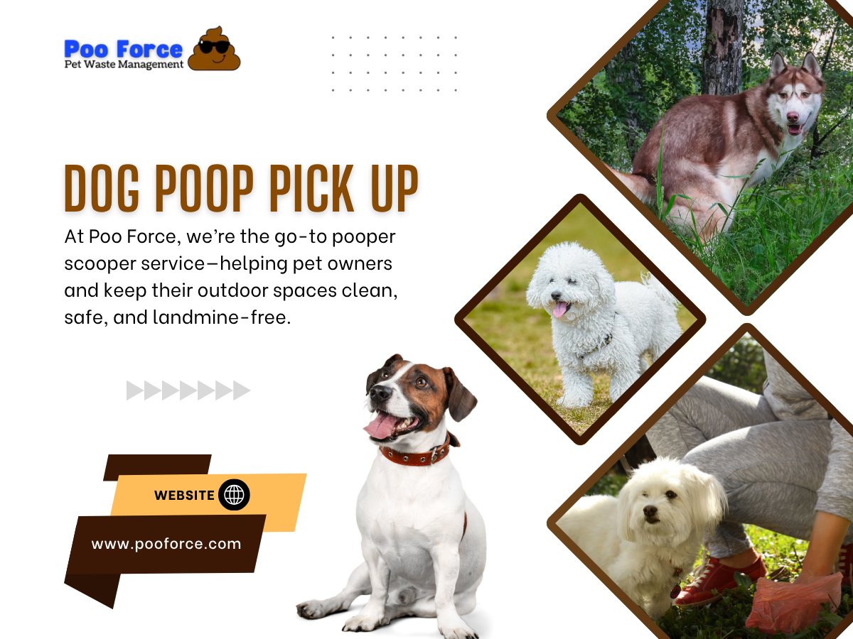 Dog Poop Pick Up Near Me