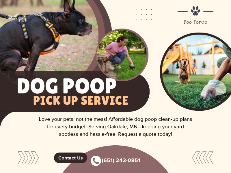 Dog Poop Pick Up Service