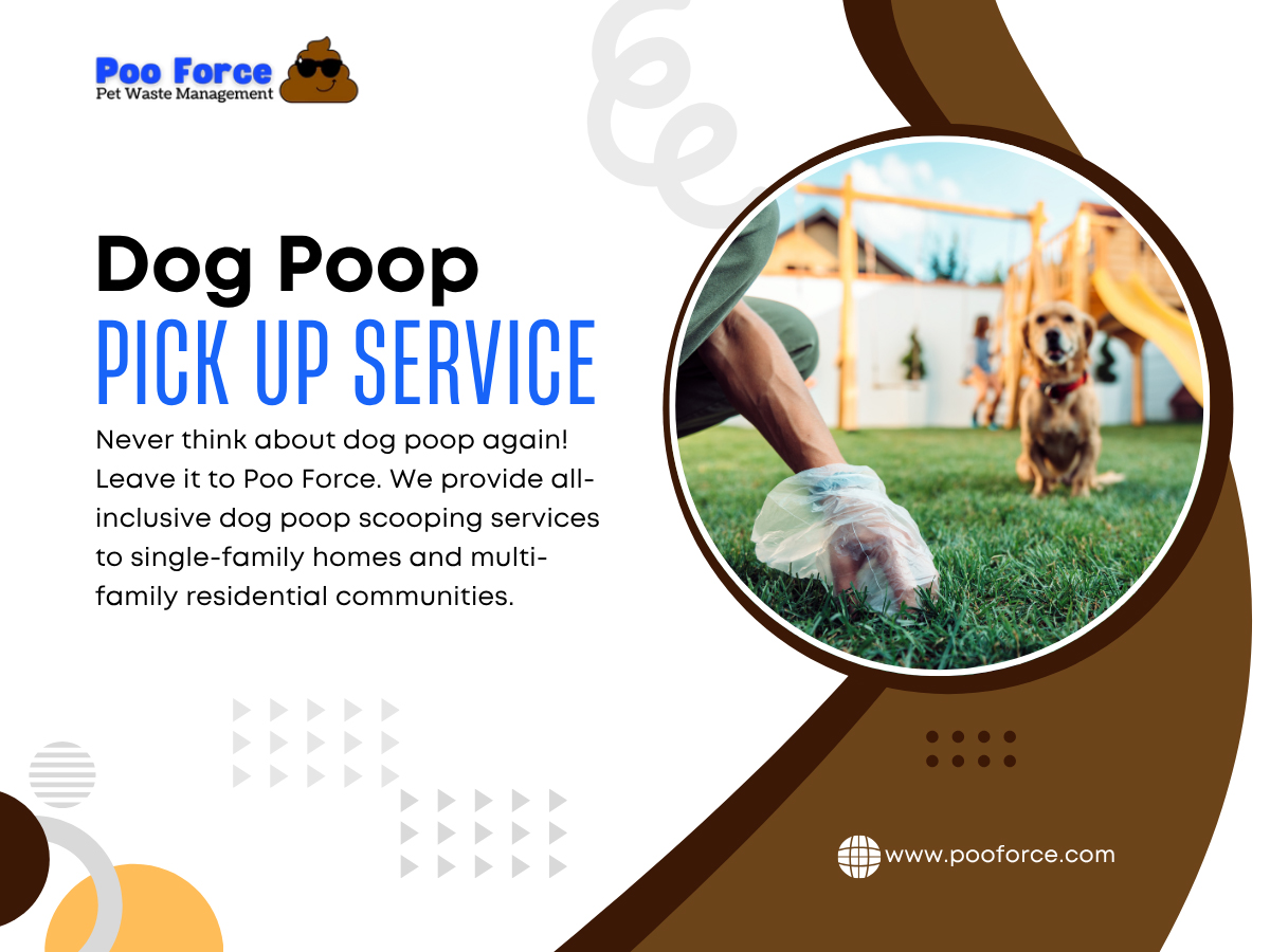 Dog Poop Pick Up Service