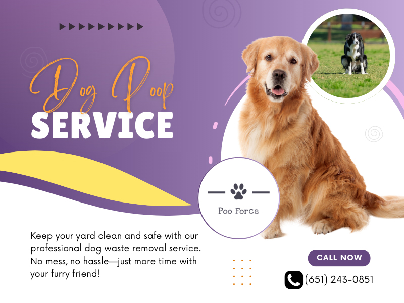 Dog Poop Service