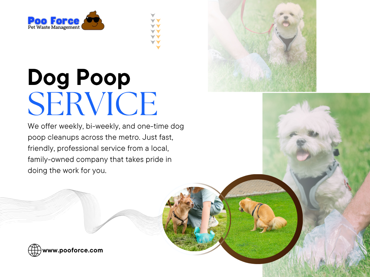 Dog Poop Service