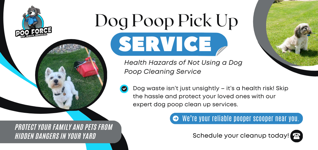 Dog poop pick up service