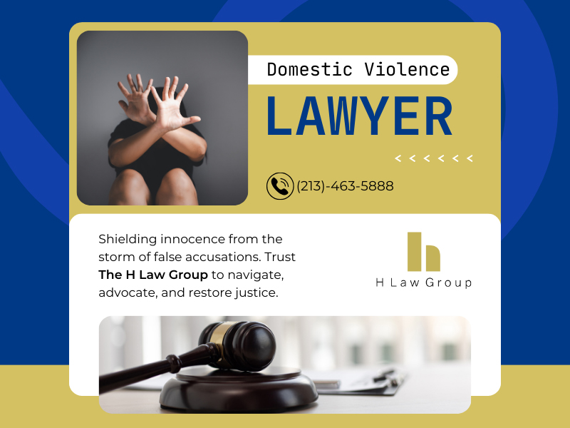 Domestic Violence Lawyer