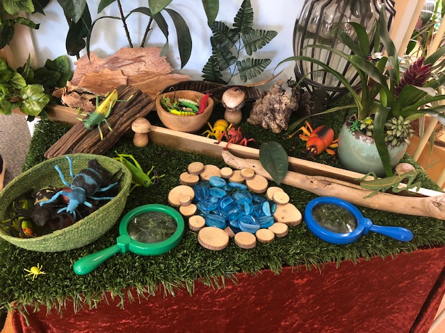 Educational Programs