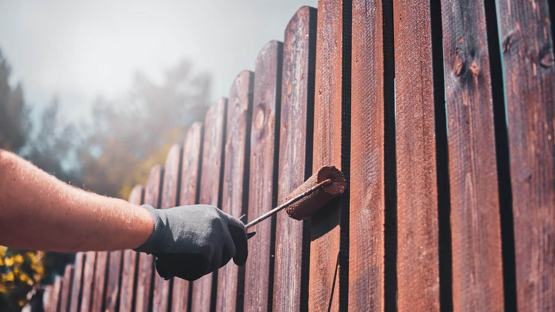 Fence Painting
