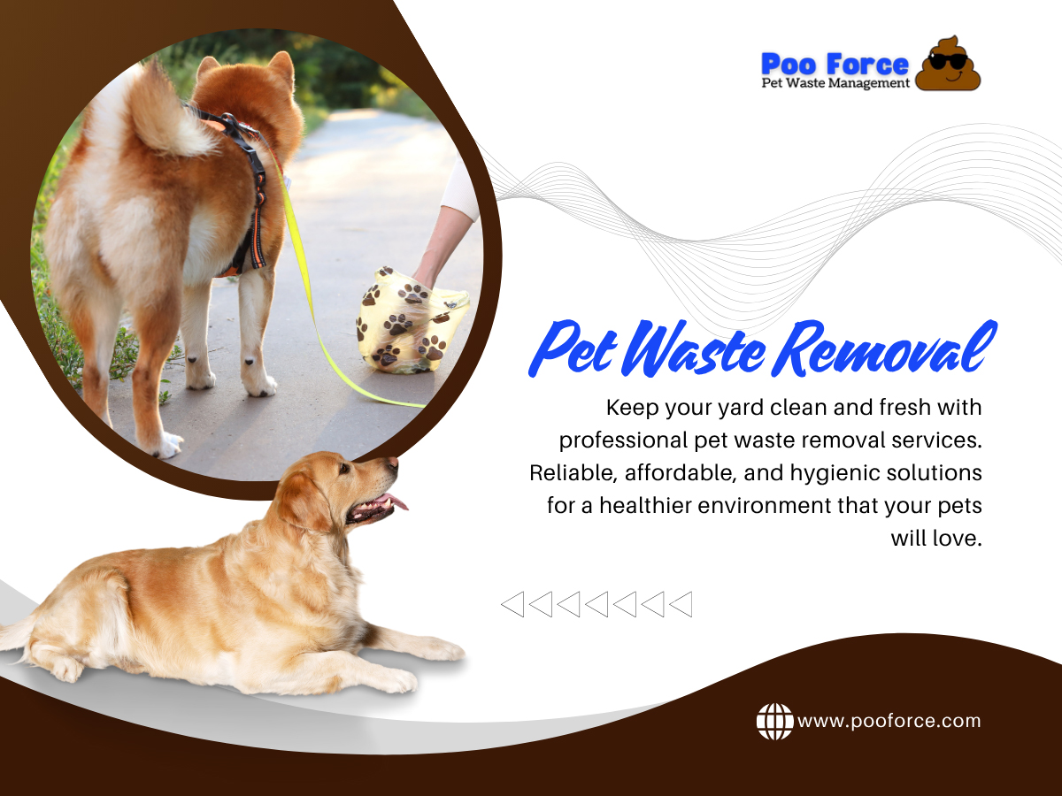 Pet Waste Removal