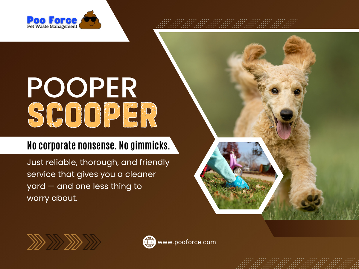 Pooper Scooper Near Me