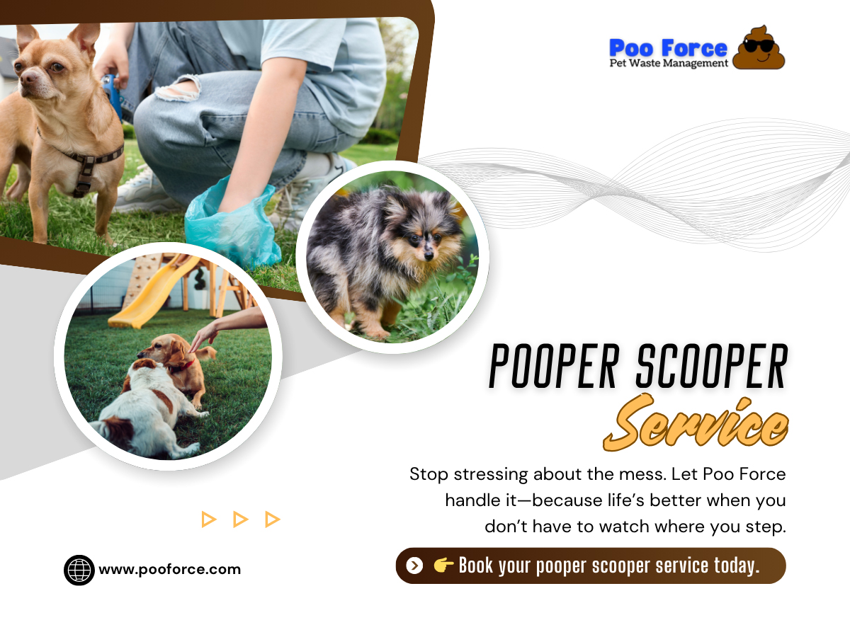 Pooper Scooper Service