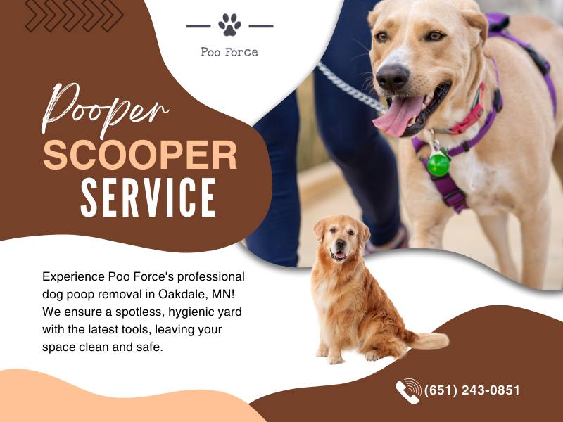 Pooper Scooper Service