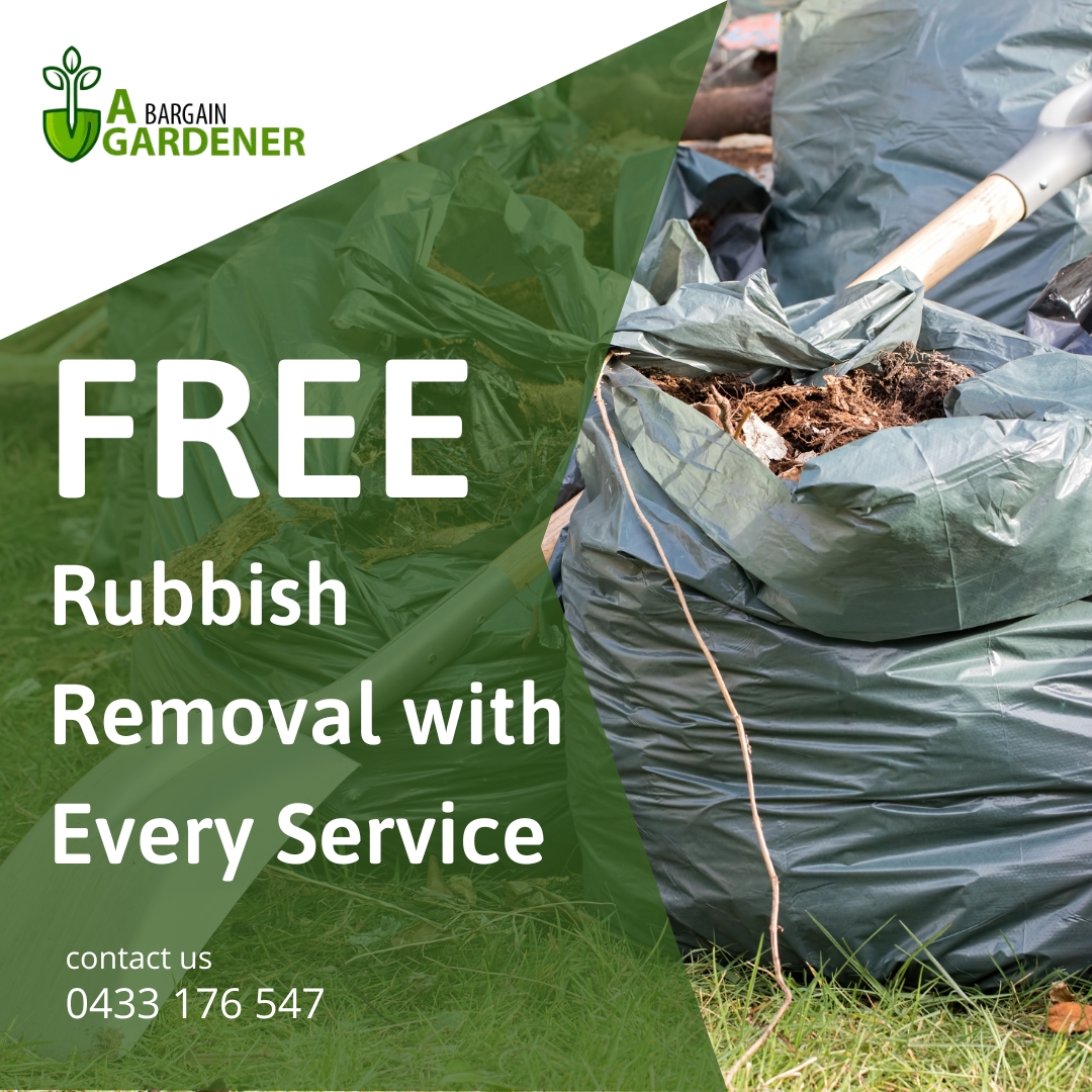Rubbish Removal