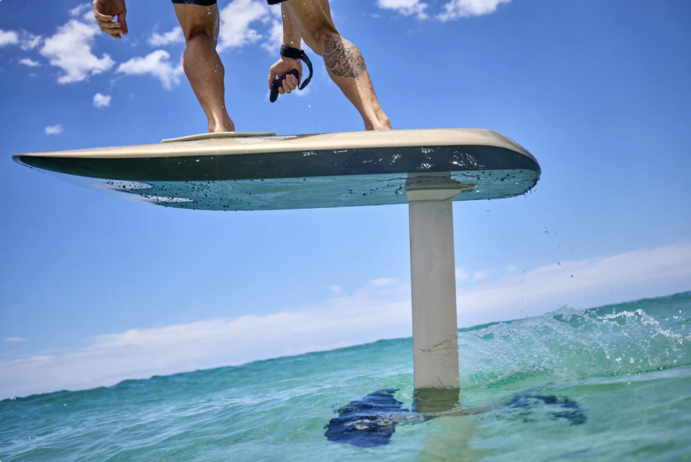 Kayak Rental