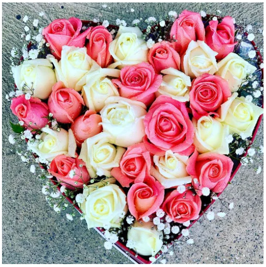 Pink and White Roses in Heart