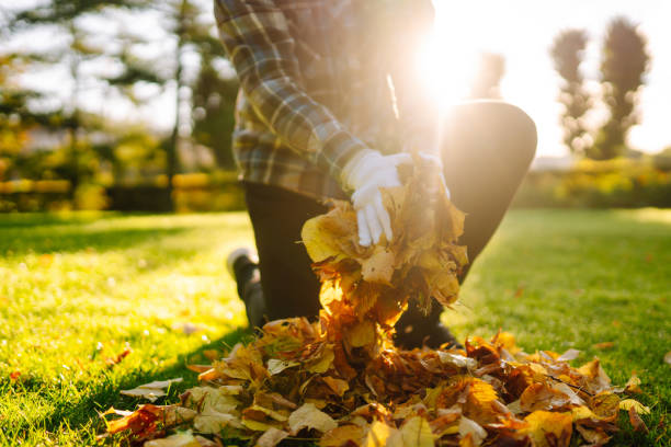 Snohomish Junk Removal