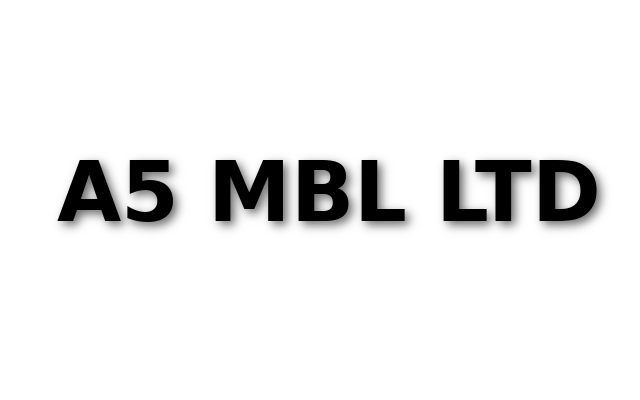company name