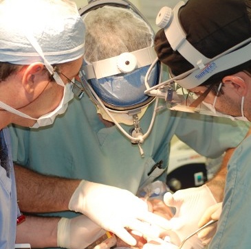 affordable dental implants - dental implants professionals - sydney