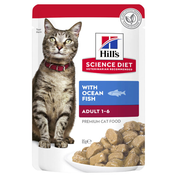 cat food