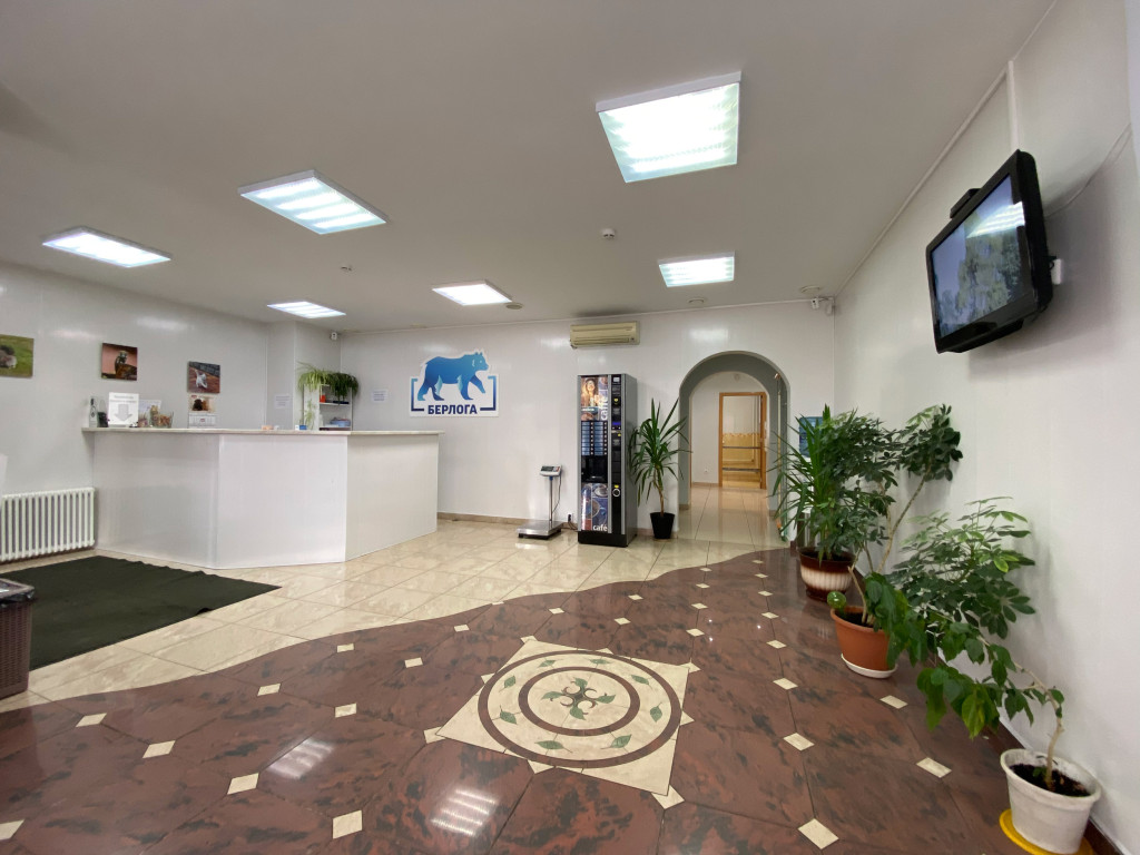 Клиника Берлога