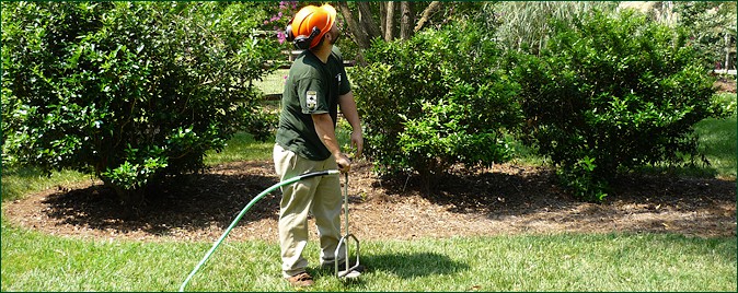 deep root fertilization - aaa tree experts - charlotte nc