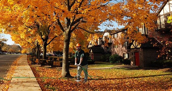 deep root fertilization services - aaa tree experts - charlotte nc