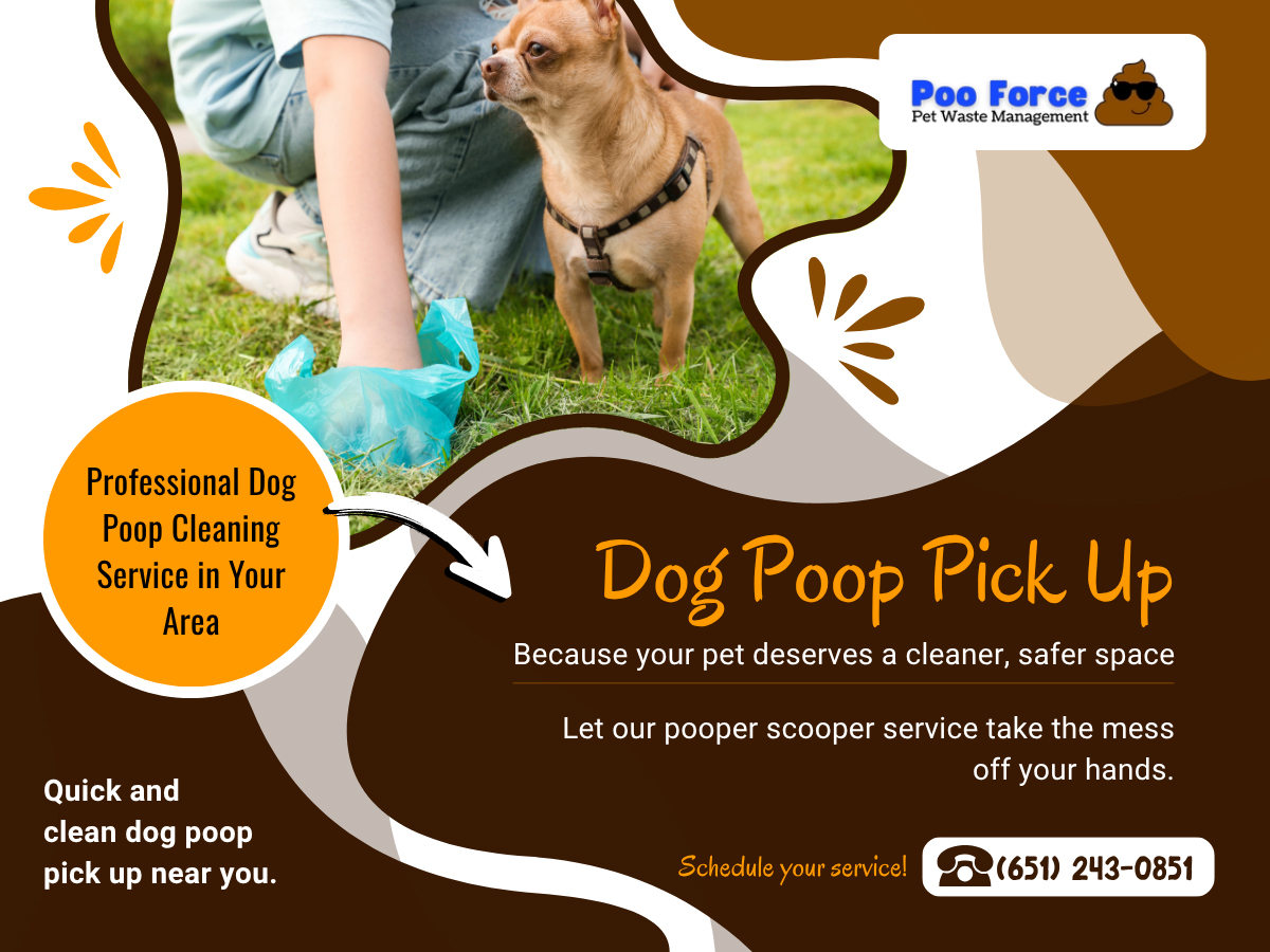 dog poop cleaning service