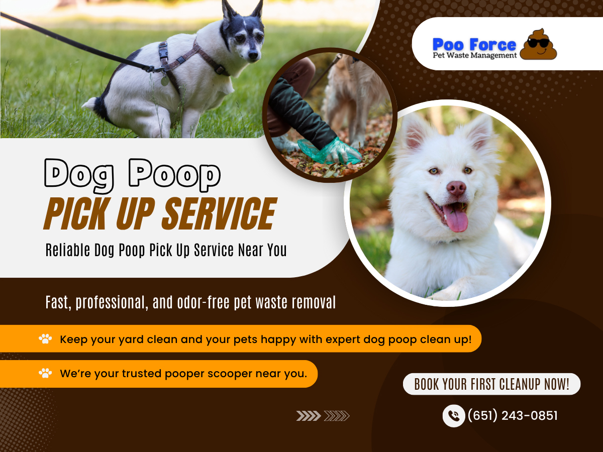 dog poop pick up service